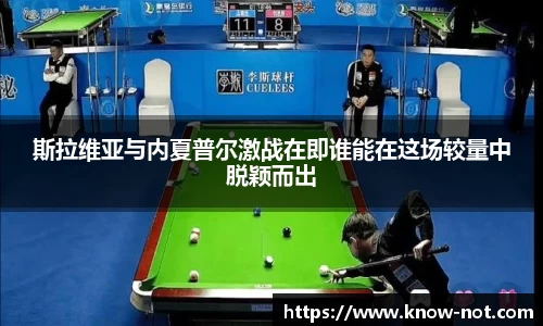 斯拉维亚与内夏普尔激战在即谁能在这场较量中脱颖而出